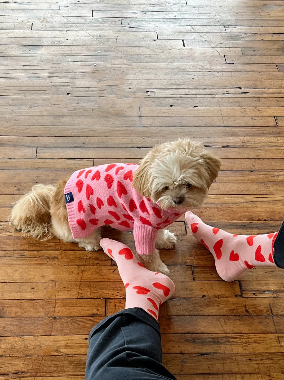 The Love Sock